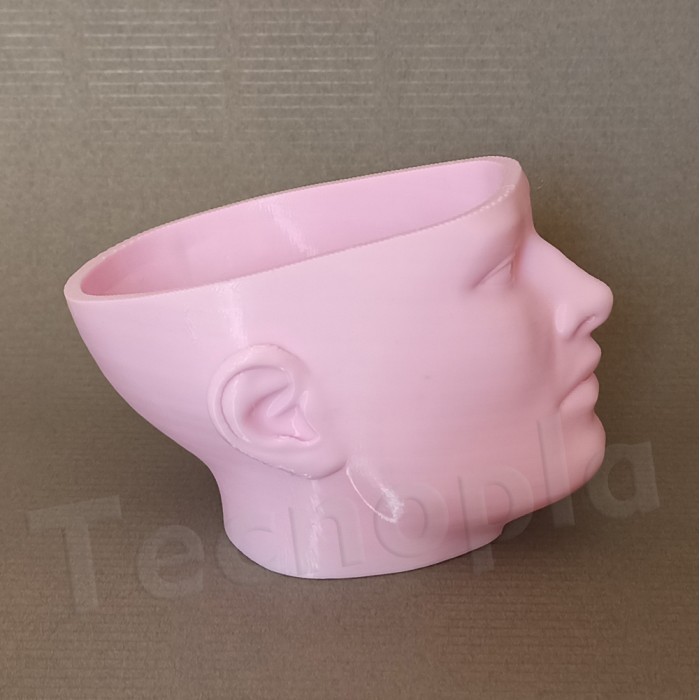 cabeza cuenco impreso en 3D